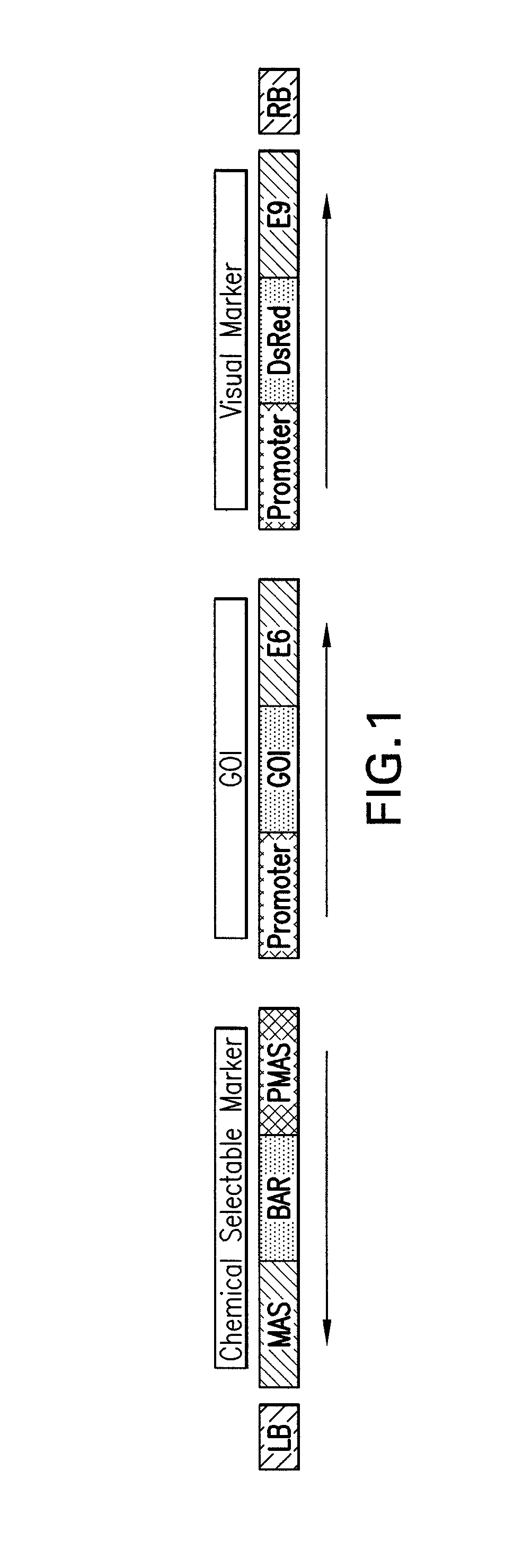 Methods and compositions for root knot nematode control