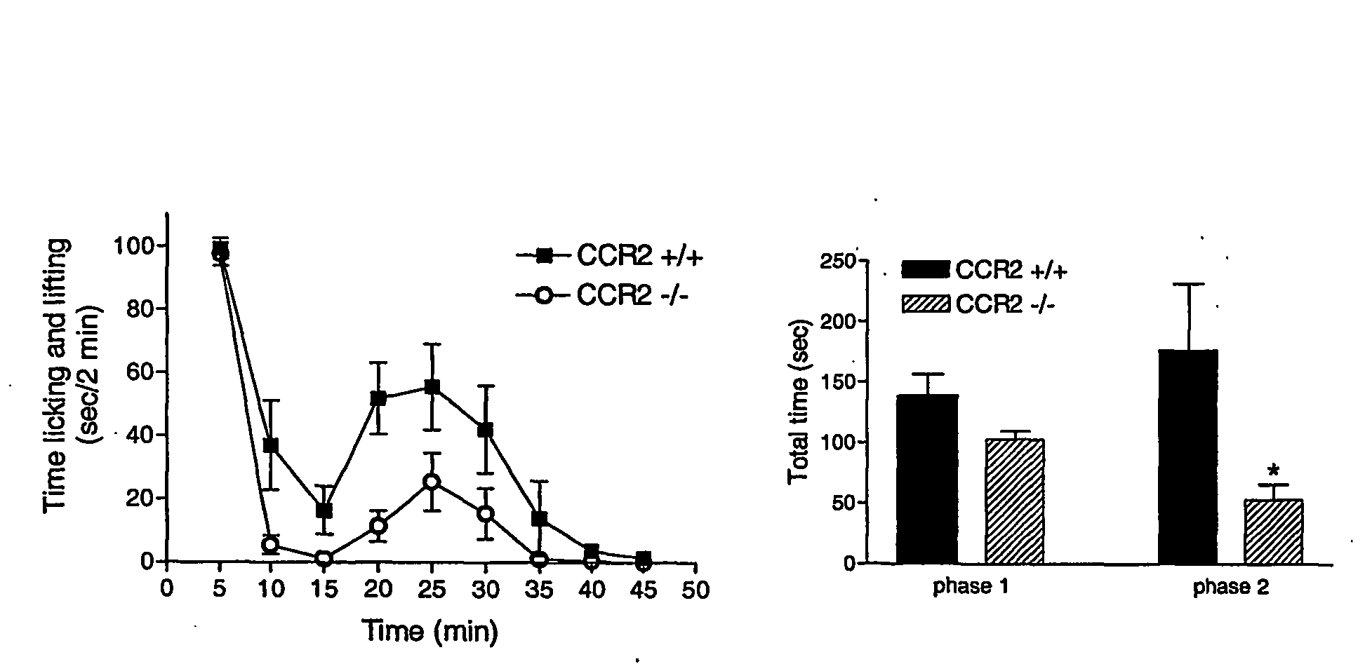 Ccr-2 antagonists for treatment of neuropathic pain