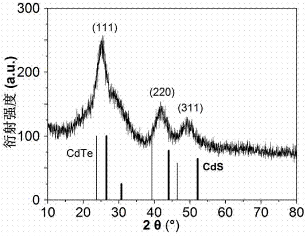 Method for ultrasonically and electrochemically synthesizing water-soluble CdTe quantum dot