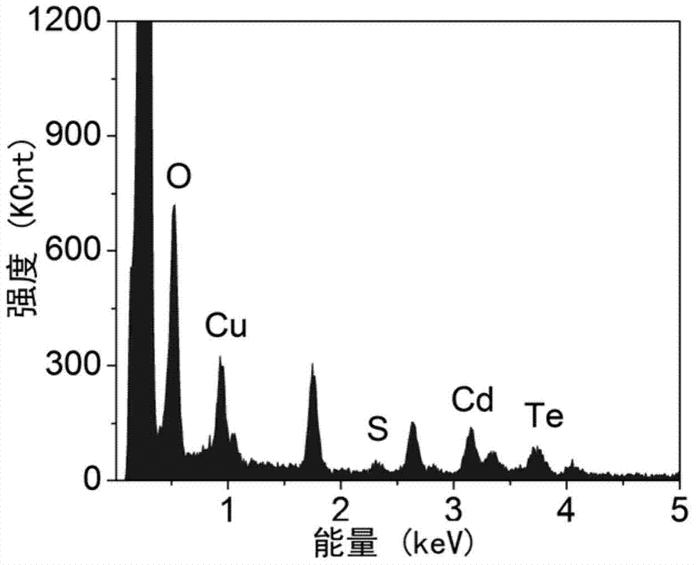 Method for ultrasonically and electrochemically synthesizing water-soluble CdTe quantum dot