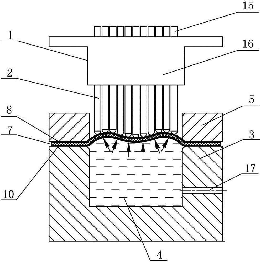 A device and method for sheet metal multi-point punch liquid-filled deep drawing