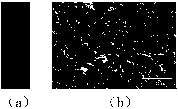 Preparation Method of Polyvinyl Alcohol/Graphite Phase Carbon Nitride Pervaporation Hybrid Membrane