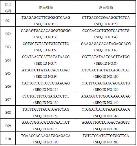Group of SNP markers for identifying donkey species, primer group of group of SNP markers and kit prepared by primer group