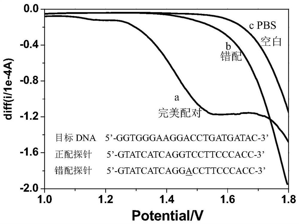 Method and application of rapid detection of nucleic acid based on electrochemical potential pretreatment technology