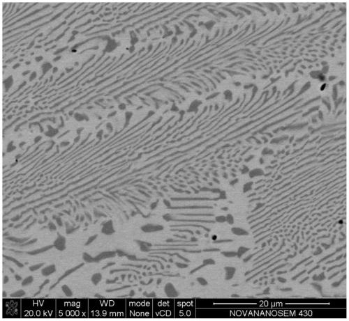Ferromagnetic shape memory alloy with nanometer eutectic lamella structure