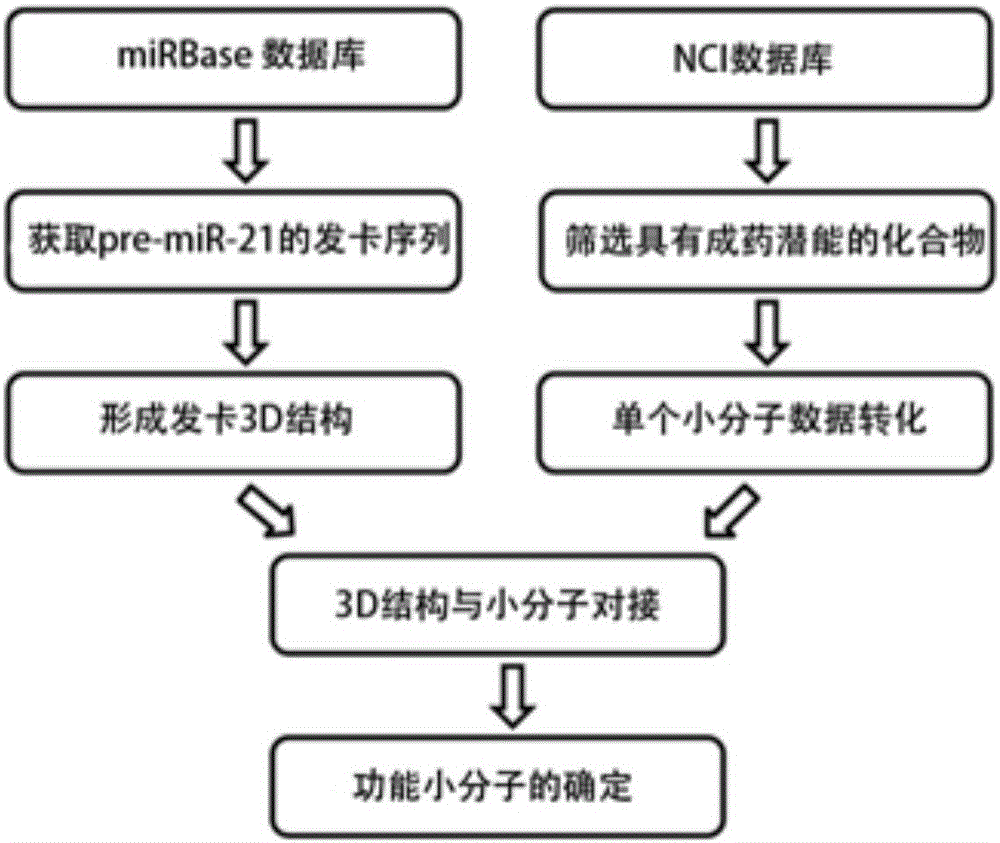 mir-21 small molecule inhibitor and its application