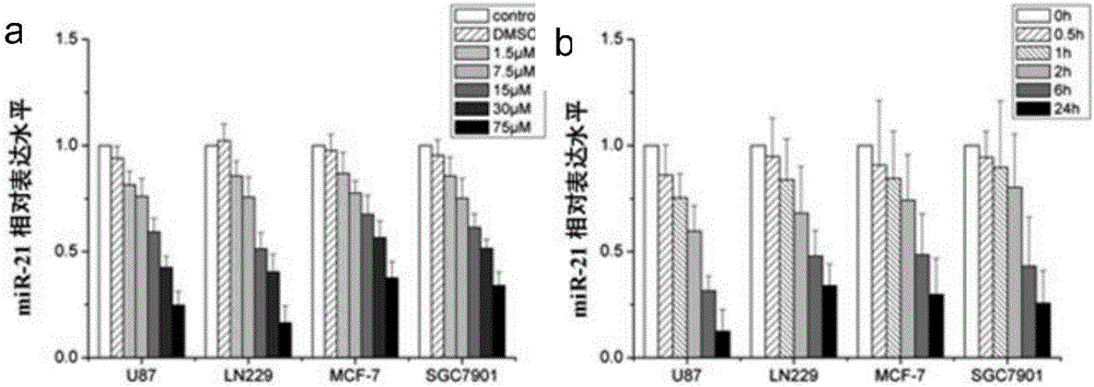 mir-21 small molecule inhibitor and its application