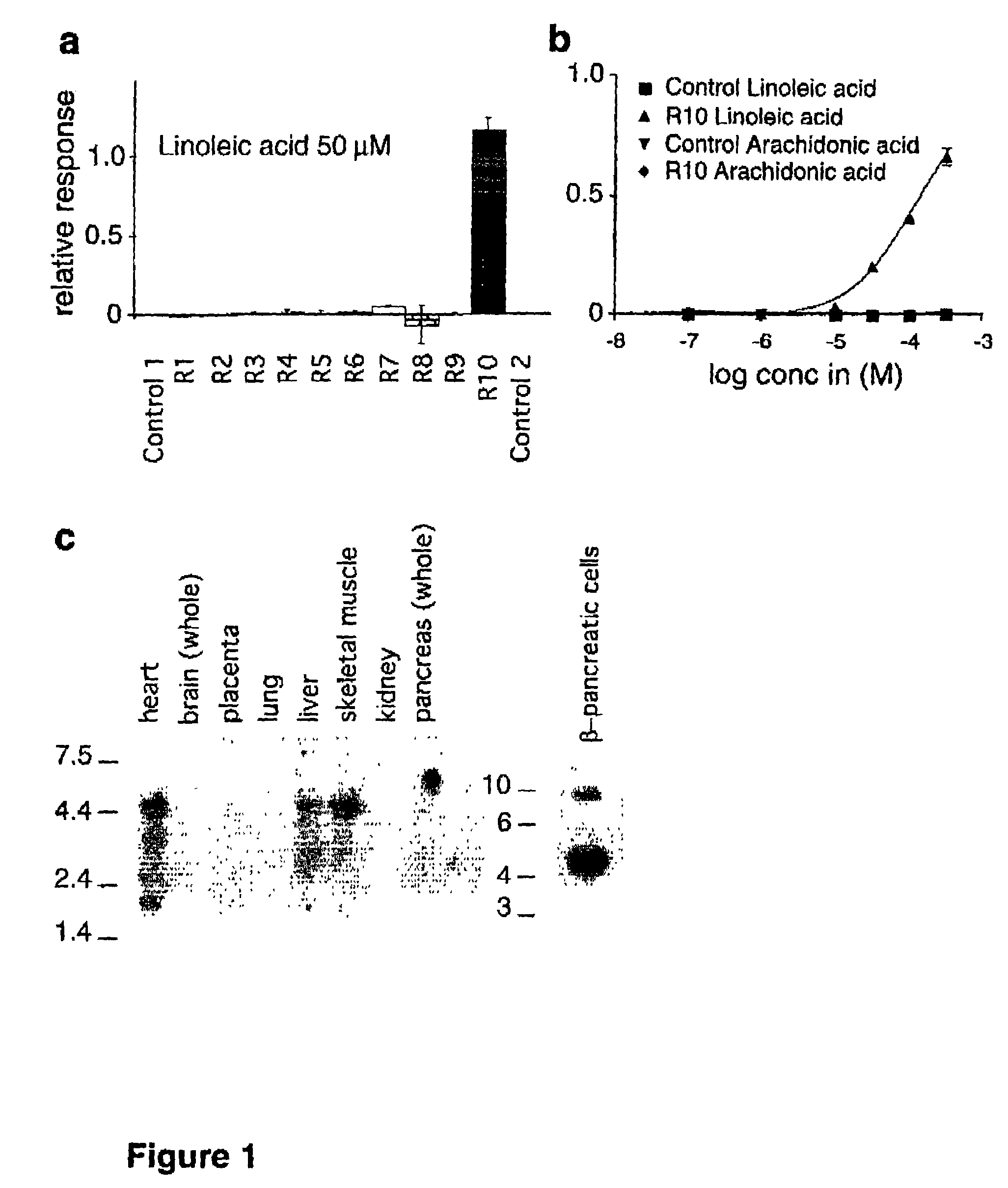 Methods of identifying compounds that affect a fatty acid cell-surface receptor
