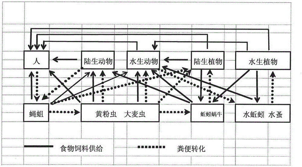 Circular agriculture system and implementation method thereof