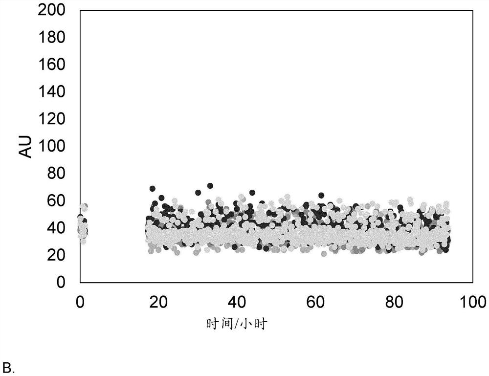 Optimized GIP peptide analogs