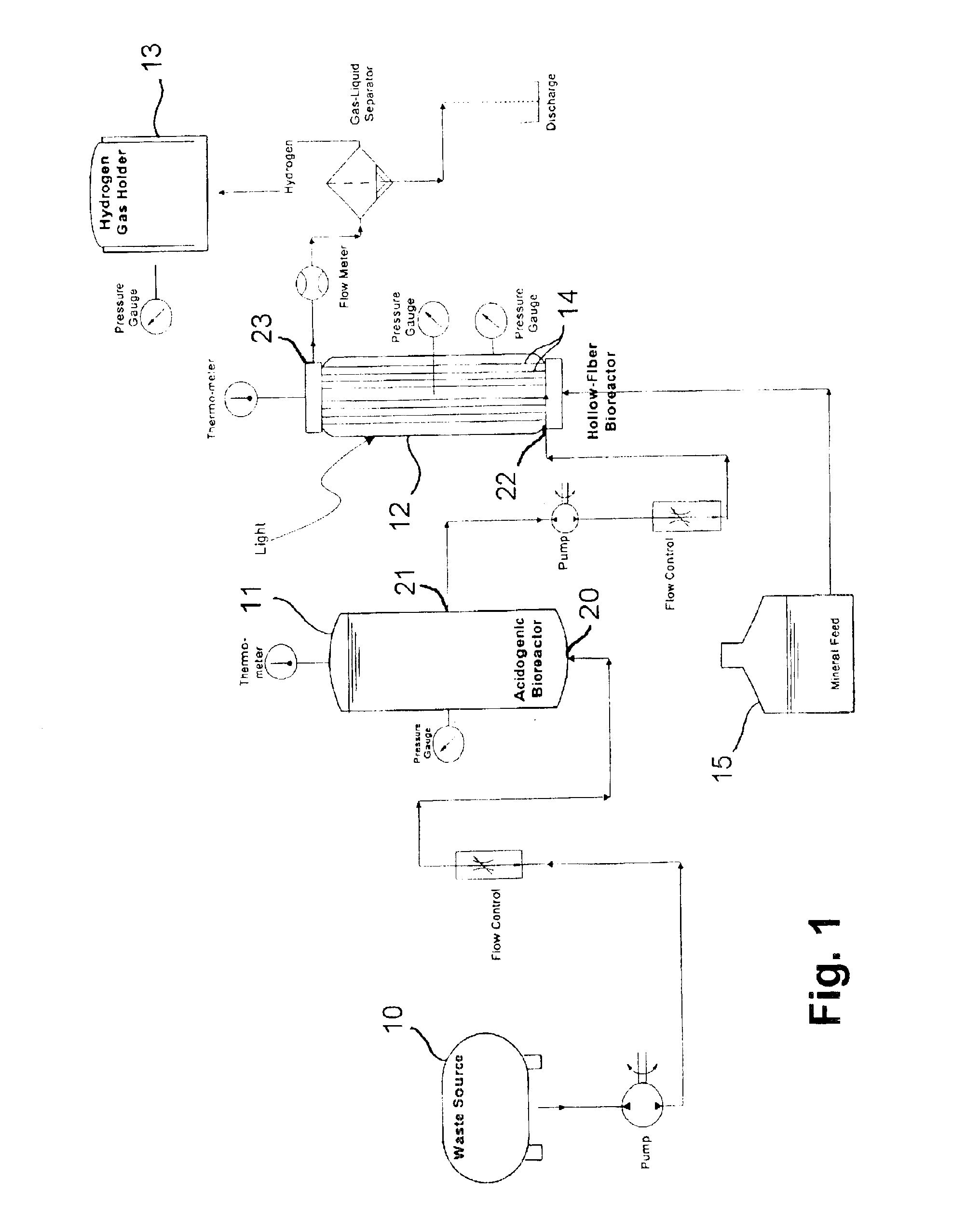 Method and apparatus for hydrogen production from organic wastes and manure