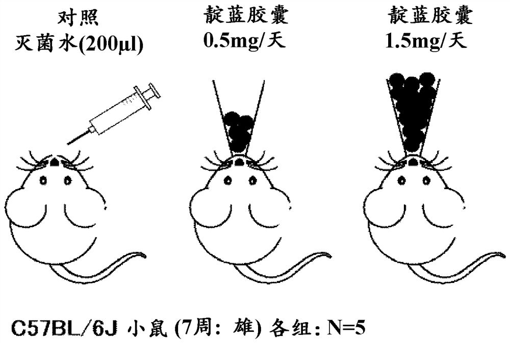 Capsule for treating ulcerative colitis