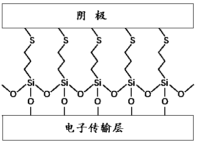 Functional cathode, qled and preparation method, light-emitting module and display device