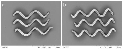 Functional microhelix and preparation method thereof