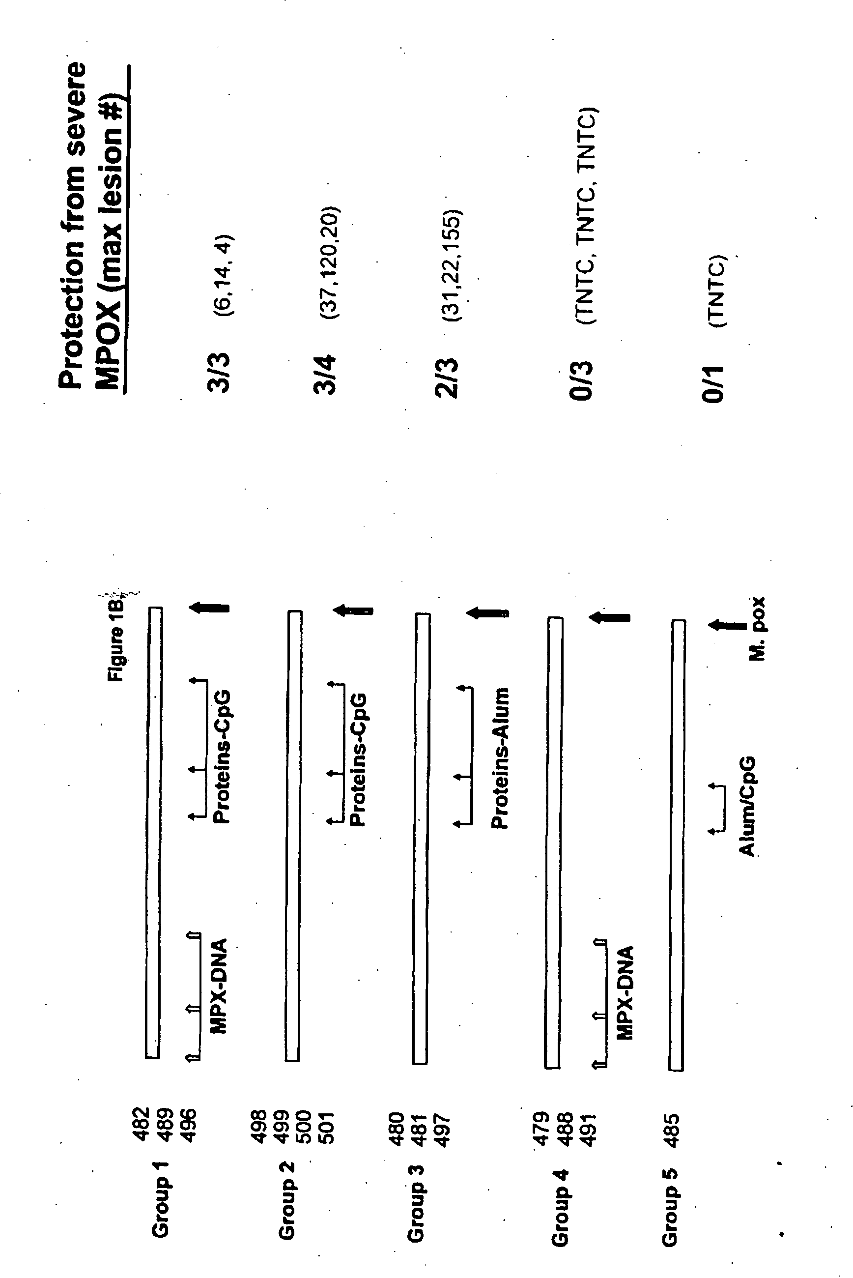 Protein vaccines against poxviruses