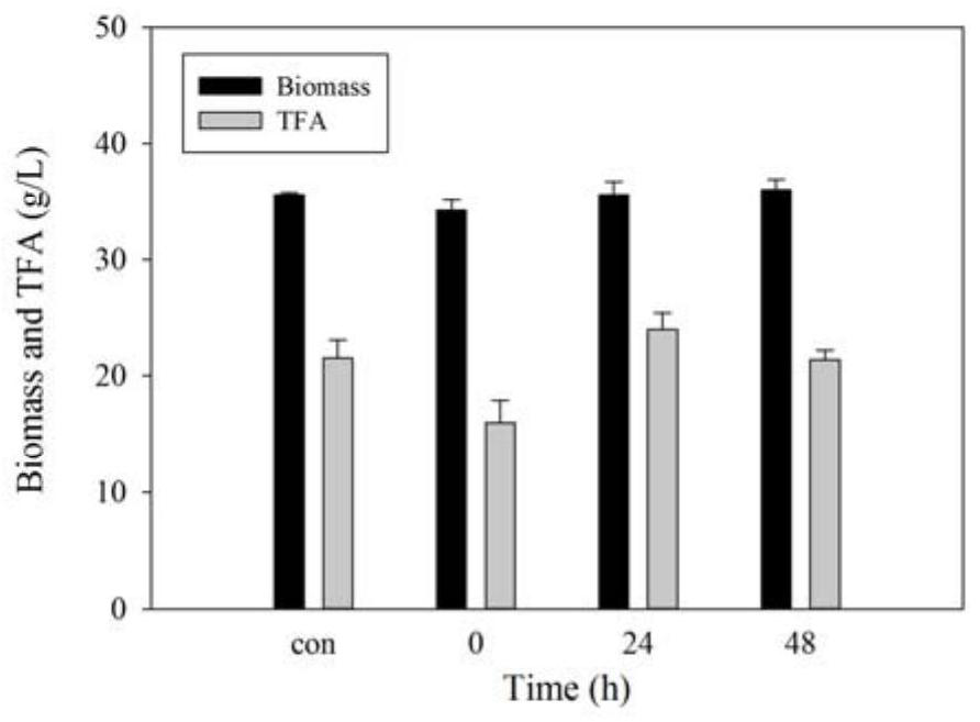 A kind of control method and application of improving epa content in Schizochytrium