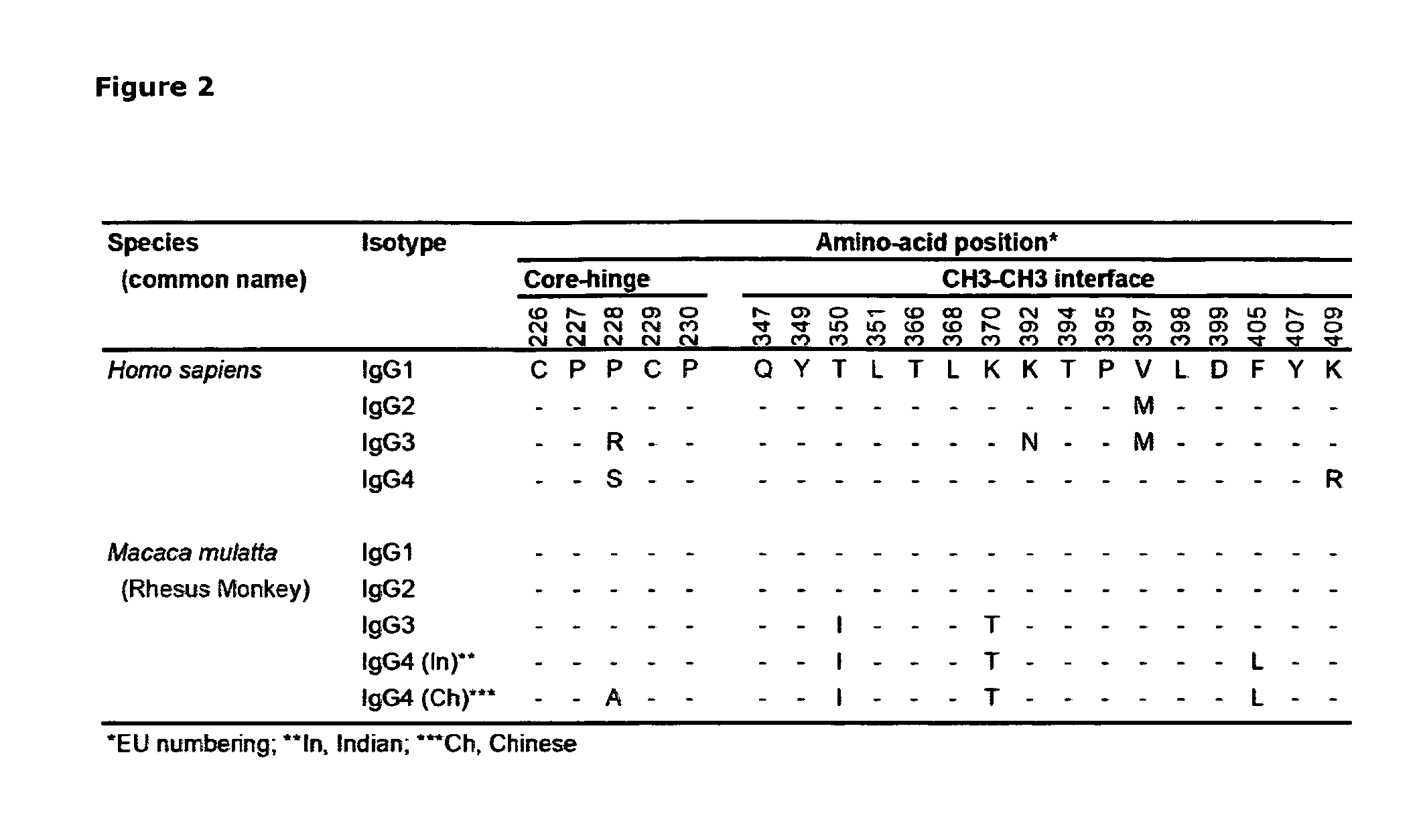 Heterodimeric antibody fc-containing proteins and methods for production thereof