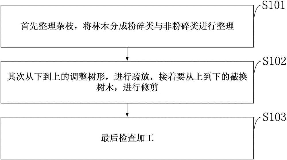 Method for cleaning forest of three-leaf akebia in bionic wild cultivation in medium height mountainous area