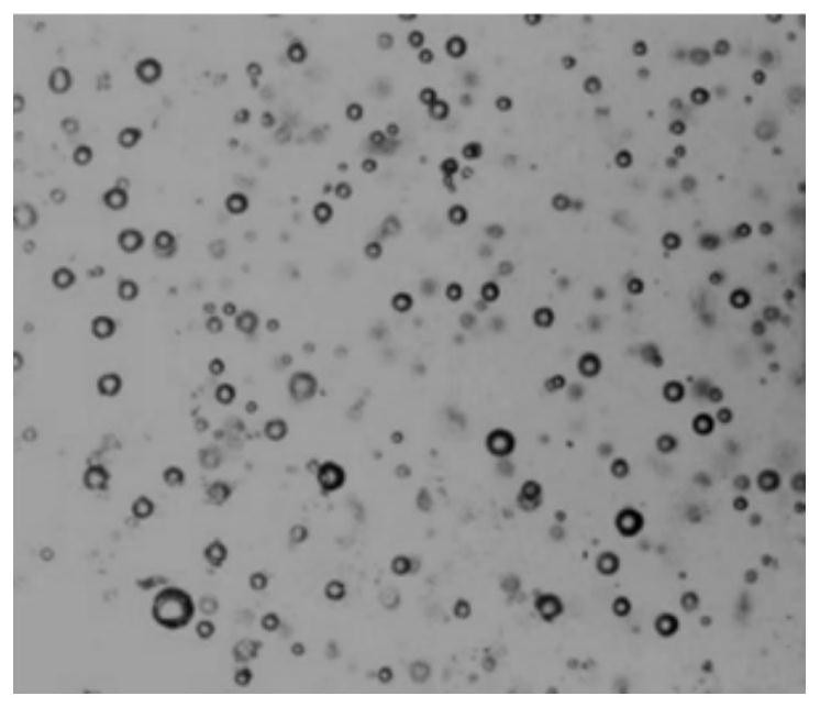 Microcapsule self-healing anticorrosion coating and preparation method thereof