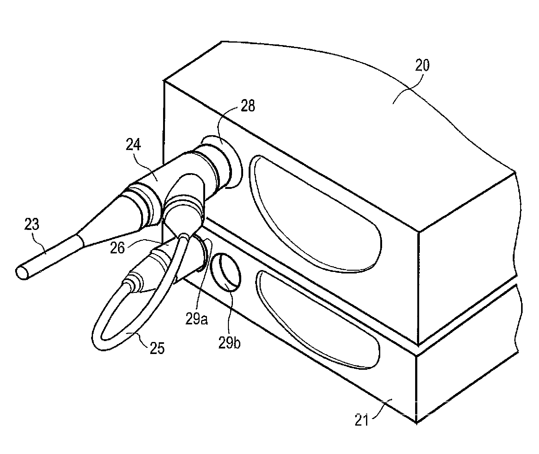 Electronic endoscope apparatus