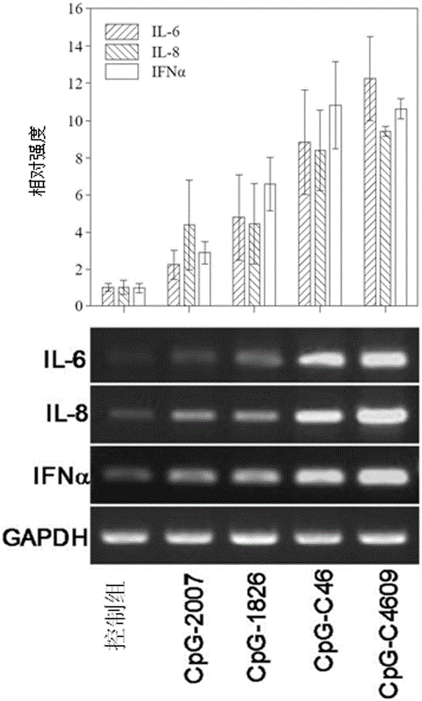 Cpg-oligodeoxynucleotide, immunogenic composition comprising the same, and methods for preparing the composition and stimulating immune response thereby