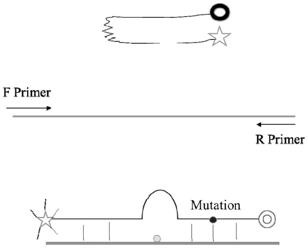 Kit for detecting abnormal hemoglobin gene mutation