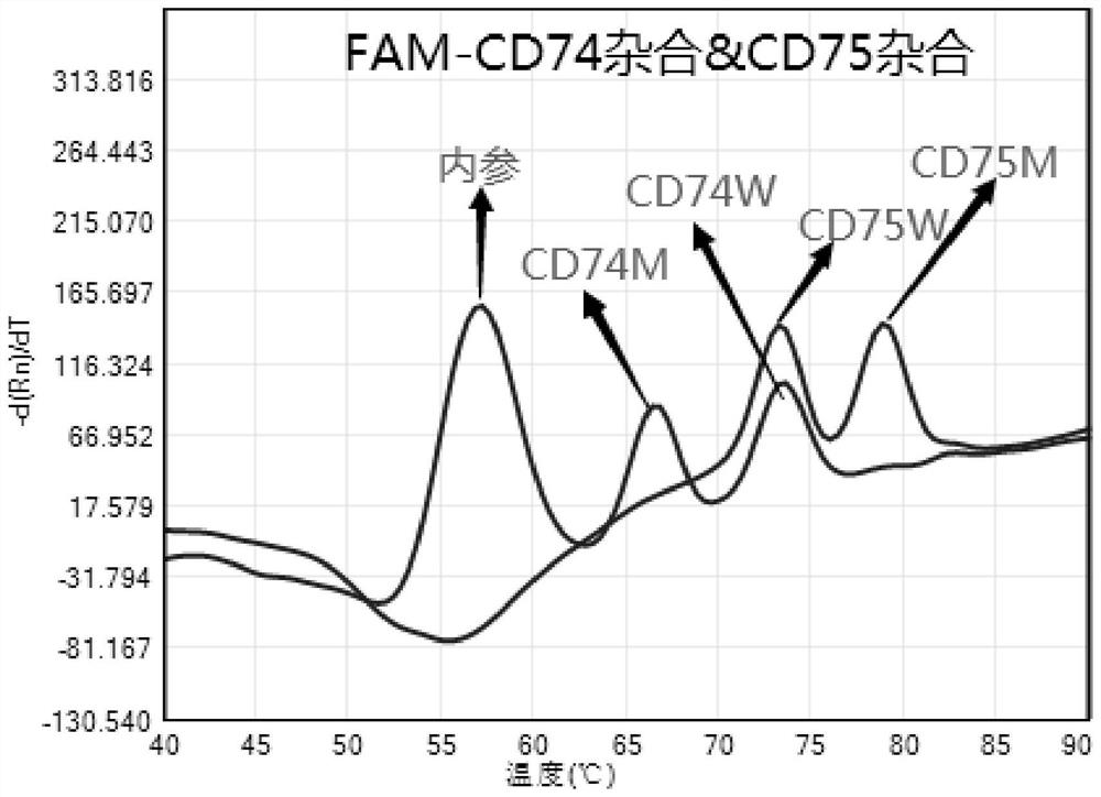 Kit for detecting abnormal hemoglobin gene mutation