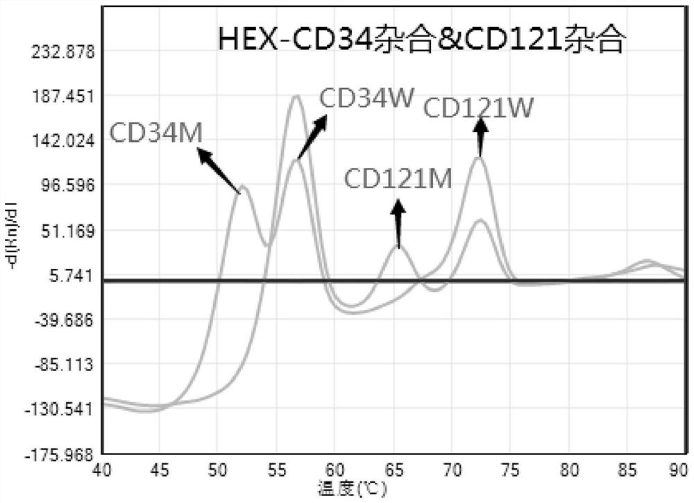 Kit for detecting abnormal hemoglobin gene mutation