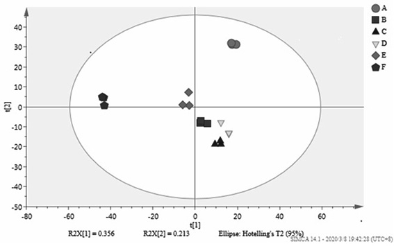 Method for identifying picking season of tea leaves of Shomei white tea