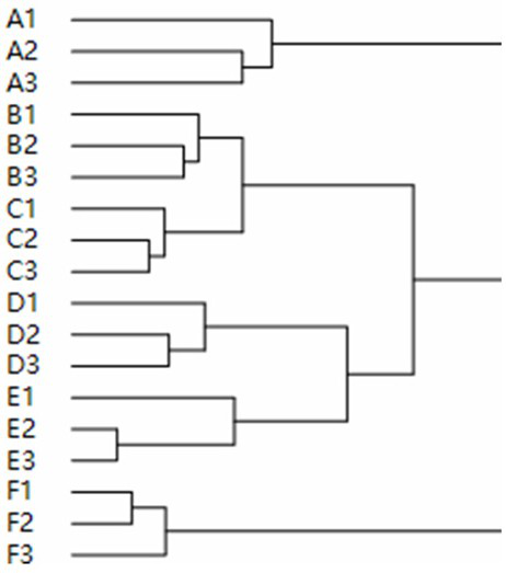 Method for identifying picking season of tea leaves of Shomei white tea