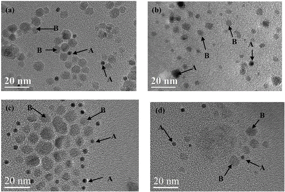 Preparation method for monodispersed FePt/Fe3O4 mixed nanoparticles