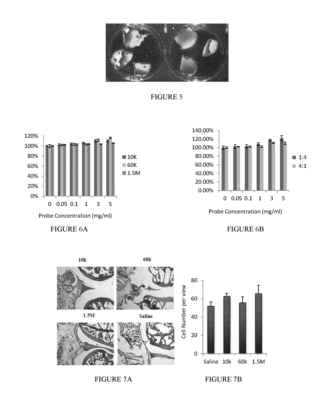 Micro-and nano-device for cartilage injury detection and treatment