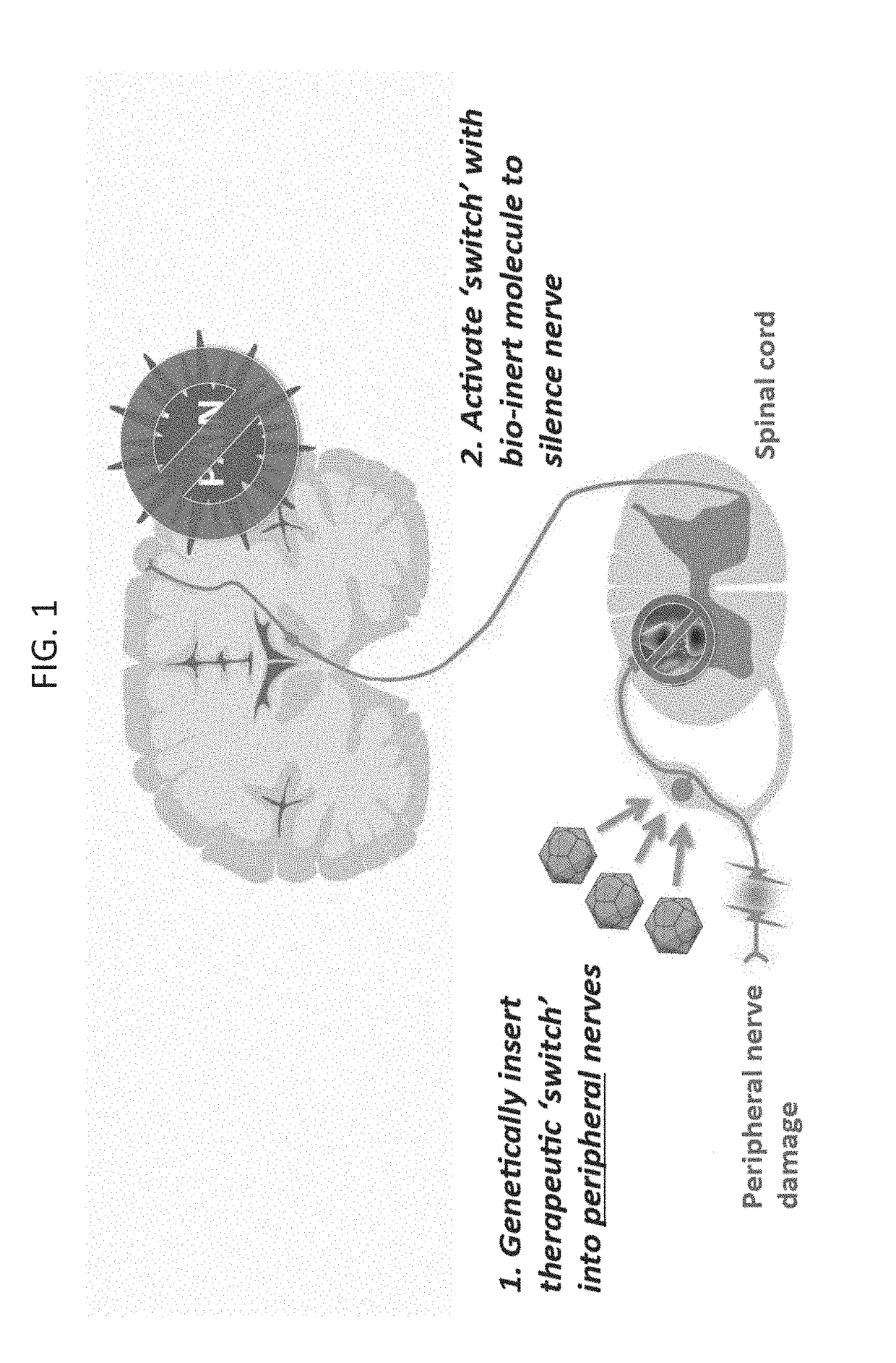 Compositions and methods for treating neurological disorders