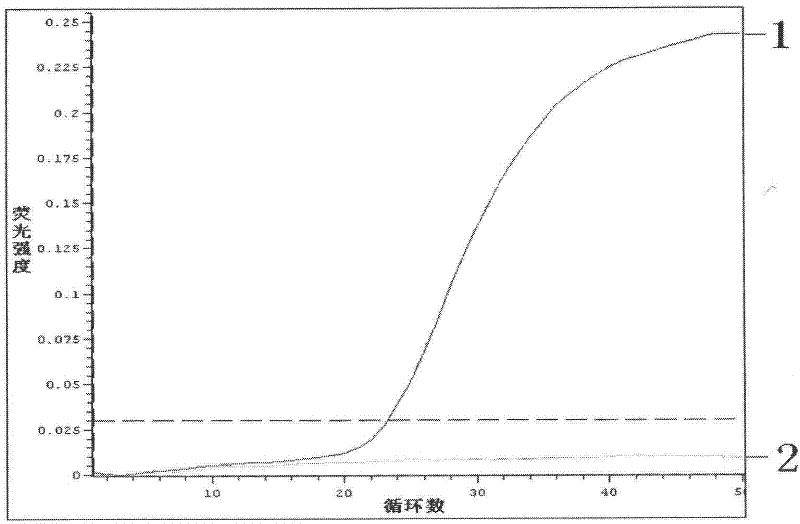 Amplification internal standard preparation based on DNA stochastic shuffling technology