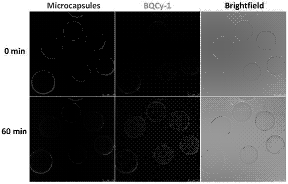 Photochromic monomer, its preparation method, amphiphilic polymer, its preparation method and vesicle and its application