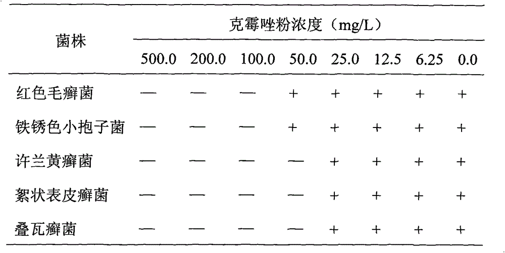 Application of alpinia officinarum extraction product to treating tinea pedis and tinea manuum and preparation method of alpinia officinarum extract product