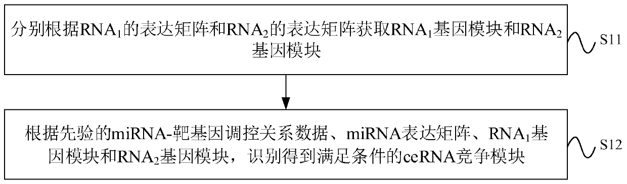 CeRNA competition model identification method and device, electronic equipment and storage medium