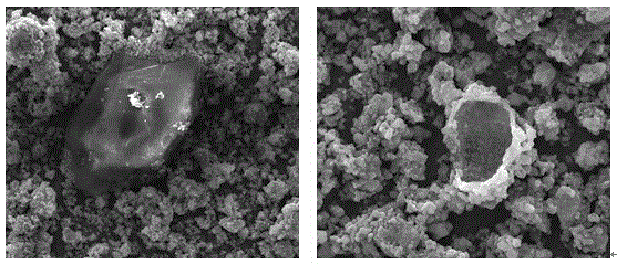 Detection method of carbon-encapsulated material for carbon source