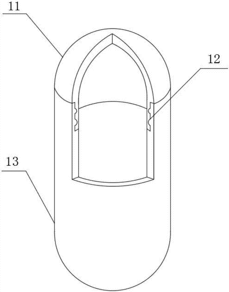 Capsule monitoring device