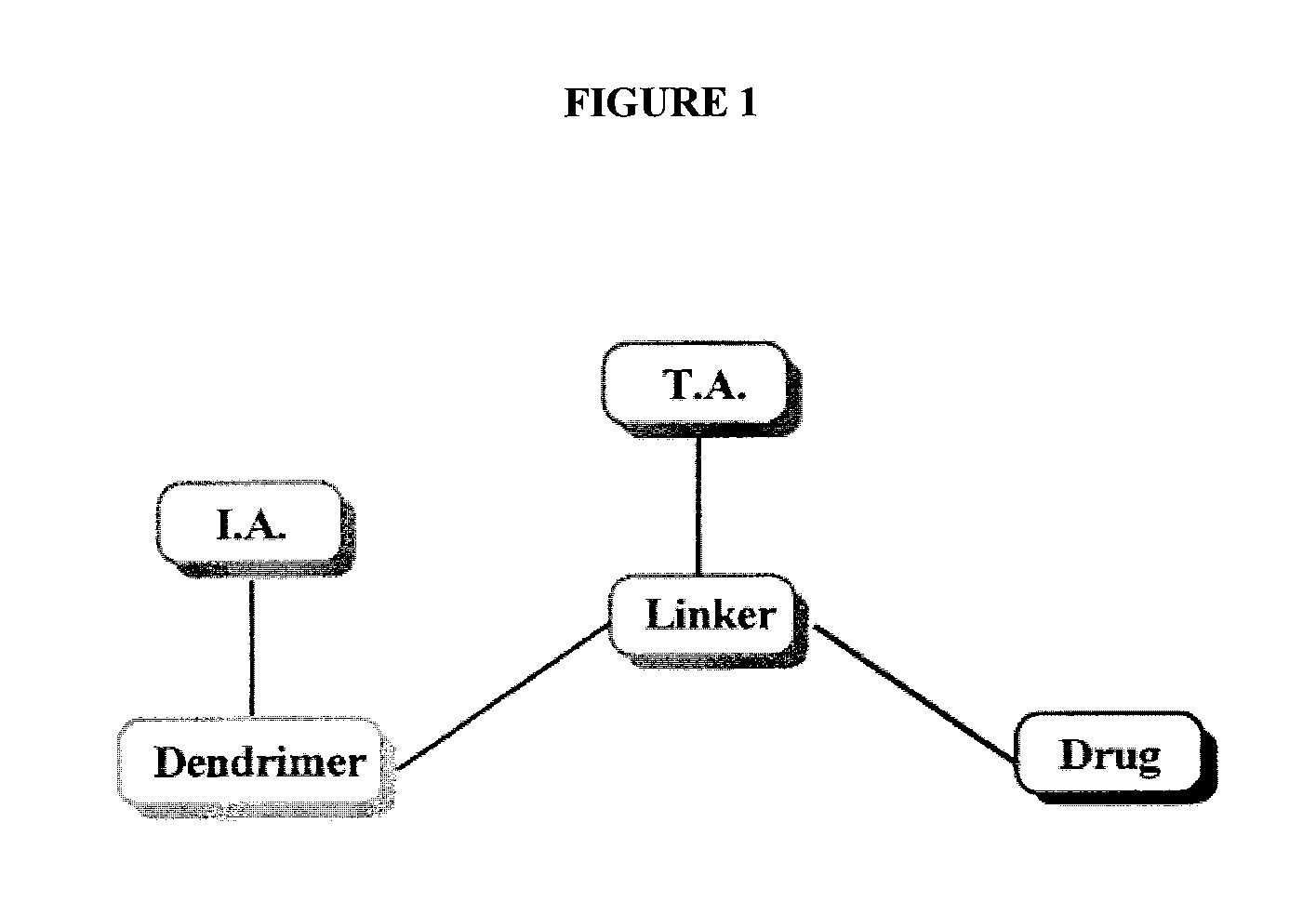 Dendrimer conjugates