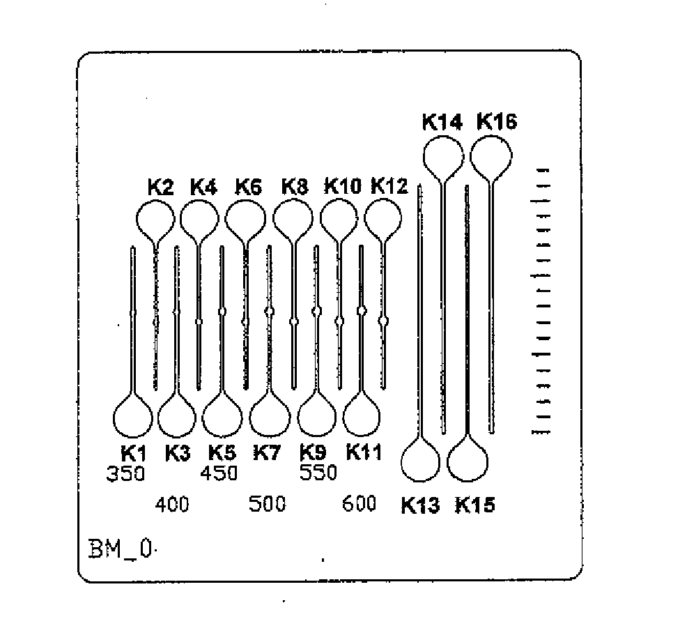 Microfluidic system and coating method therefor