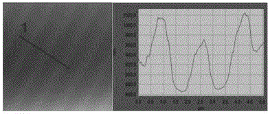 Method of etching surface topography of polydimethylsiloxane (PDMS) by oxygen plasmas