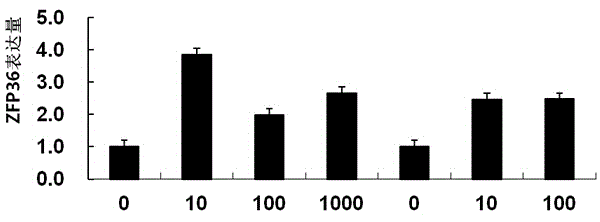 Detection reagent for prognosis of ZFP36 prostatic cancer and kit of detection reagent