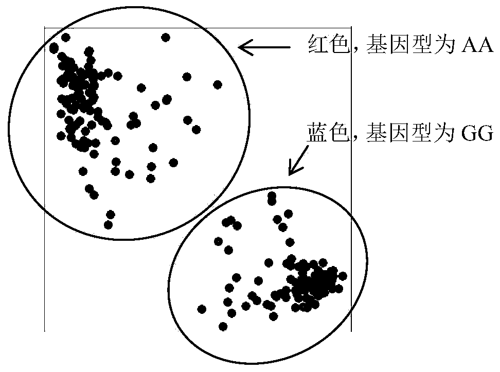 Molecular marker for detecting anti-scab QTL (quantitative trait loci) Qfhb.hbaas-5AS and application method of molecular marker