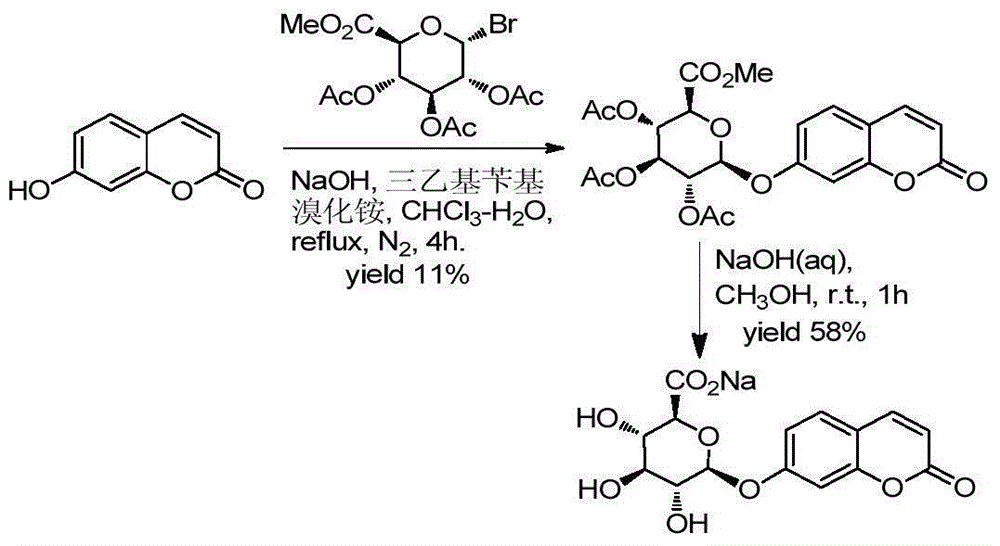 Method for synthesizing various glucosides on basis of 4-methylumbelliferone
