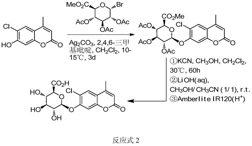 Method for synthesizing various glucosides on basis of 4-methylumbelliferone