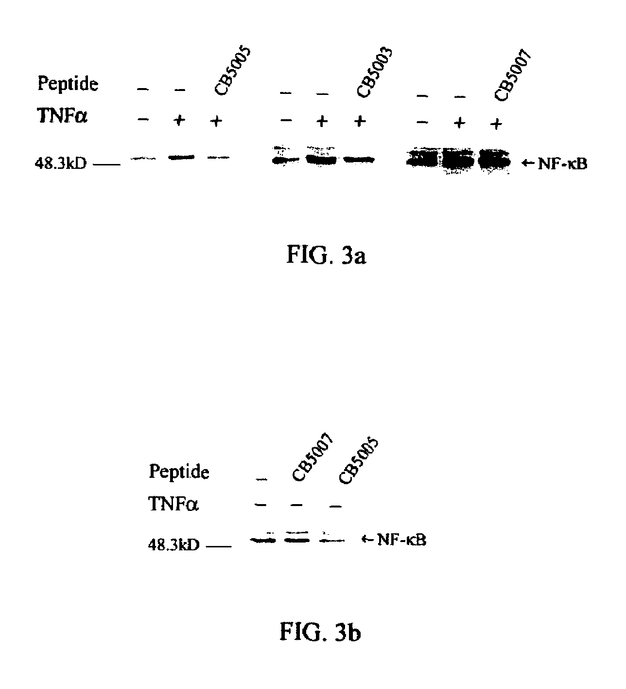 Composition and method for increasing apoptosis in cancer cells