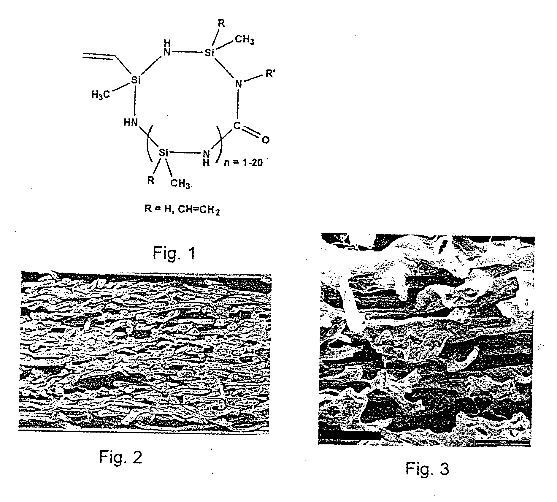 Porous SiC-bodies with micro-channels and process for their fabrication