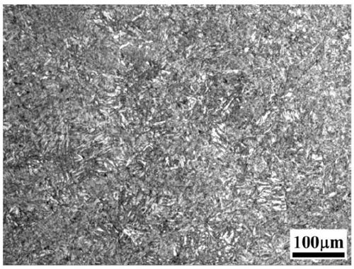 Mixed scale TiCN and TiB2 particle strengthened low alloy steel and preparation method thereof