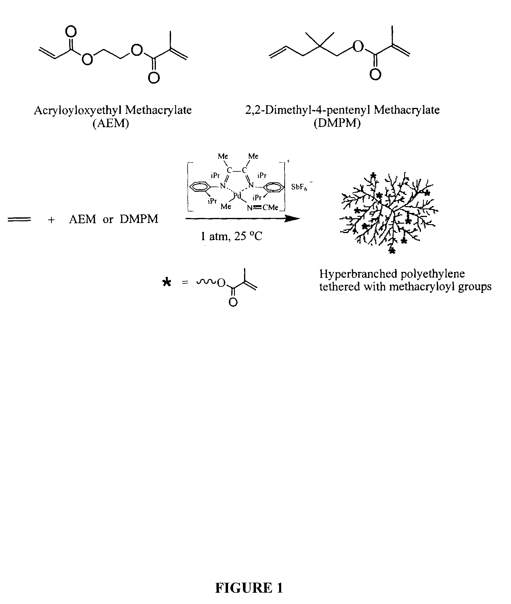 Branched polyolefin polymer tethered with polymerizable methacryloyl groups and process for preparing same